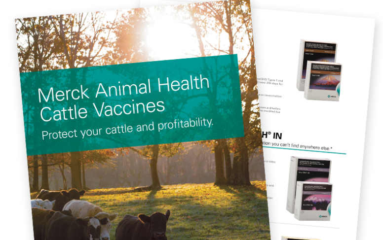 Cattle - Vaccines | Merck Animal Health USA